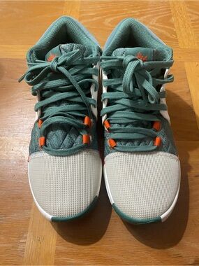 Nike LeBron witness 8 cannon shoes